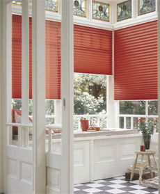 Pleated blinds