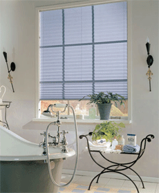 Pleated blinds